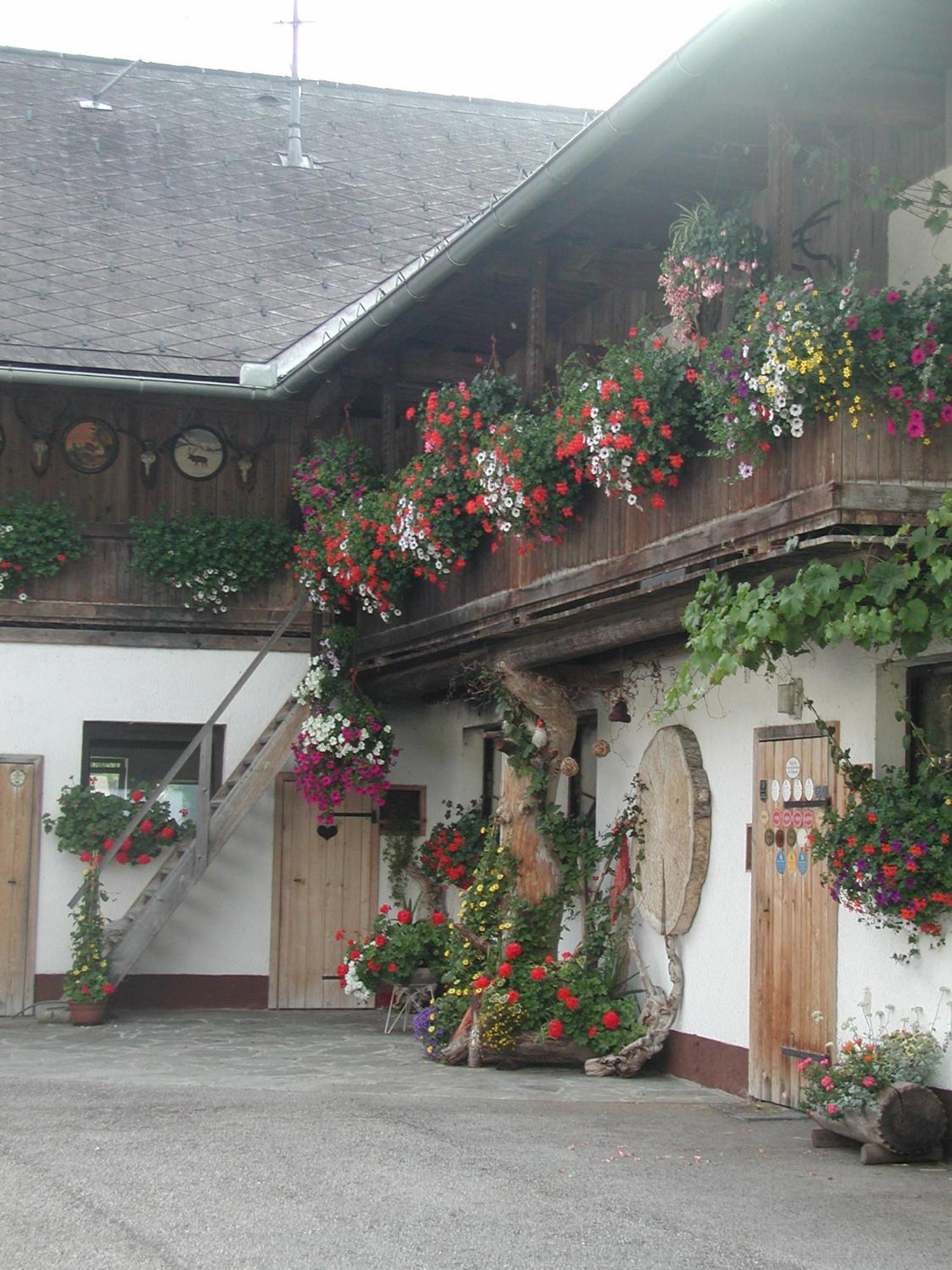 Ferienhof Unterfuehrholzergut Klaus an der Pyhrnbahn Zewnętrze zdjęcie