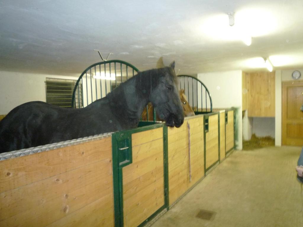 Ferienhof Unterfuehrholzergut Klaus an der Pyhrnbahn Zewnętrze zdjęcie